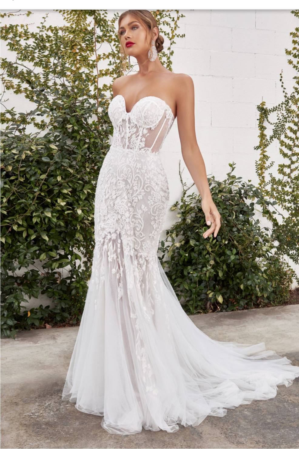 Intricate Lace Sheer Illusion Corset Bodice Gown