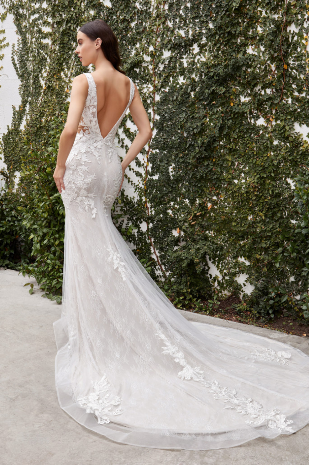 Lace-Edge V-Neckline Mermaid Gown