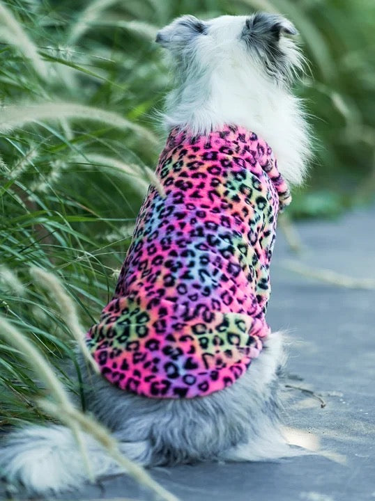 Urban Wild Dog Jacket | Medium to Large Breed Outerwear