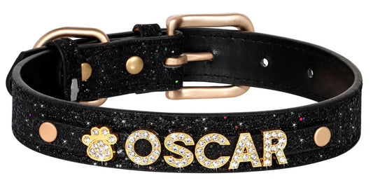 Onyx Crown Name Dog Collar | Customized Dog Collar