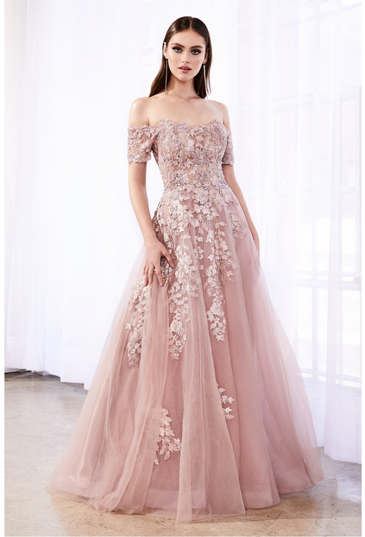 Long Formal Gown
