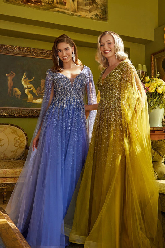 Princess Long Sleeve Dress
