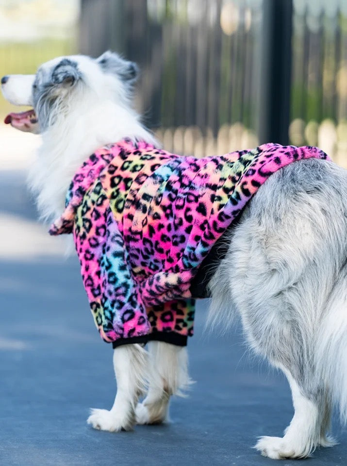Urban Wild Dog Jacket | Medium to Large Breed Outerwear