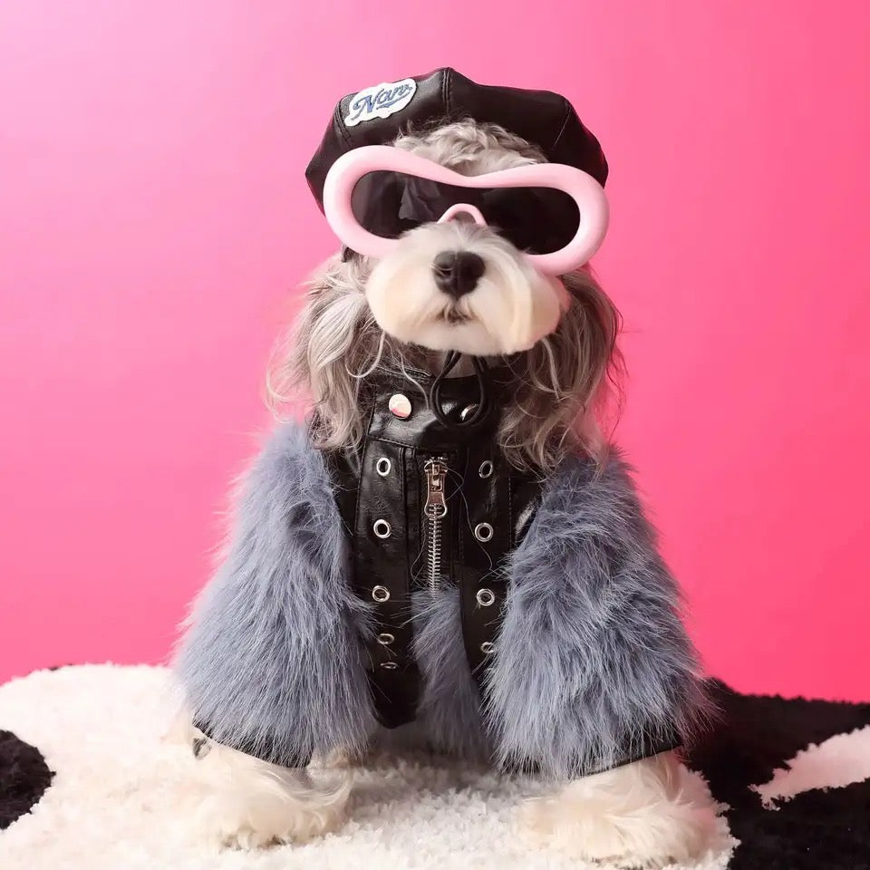 Jupiter Star Dog Jacket | Faux Leather Dog Coat with Fur Trim