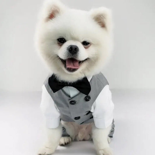 Distinguished Gentleman Two-Piece Dog Suit | Formal Dog Outfit Set
