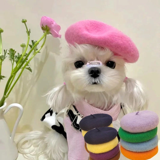 Dog Beret Hat | Paris Dog Beret