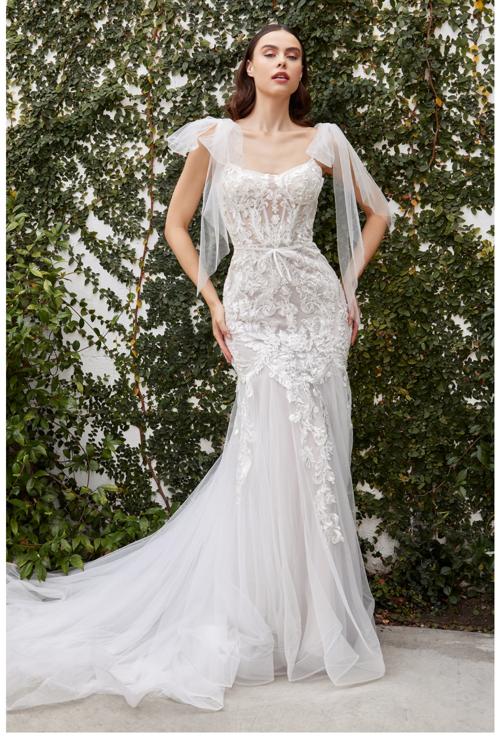 Whimsical Lace Mermaid Corset Gown