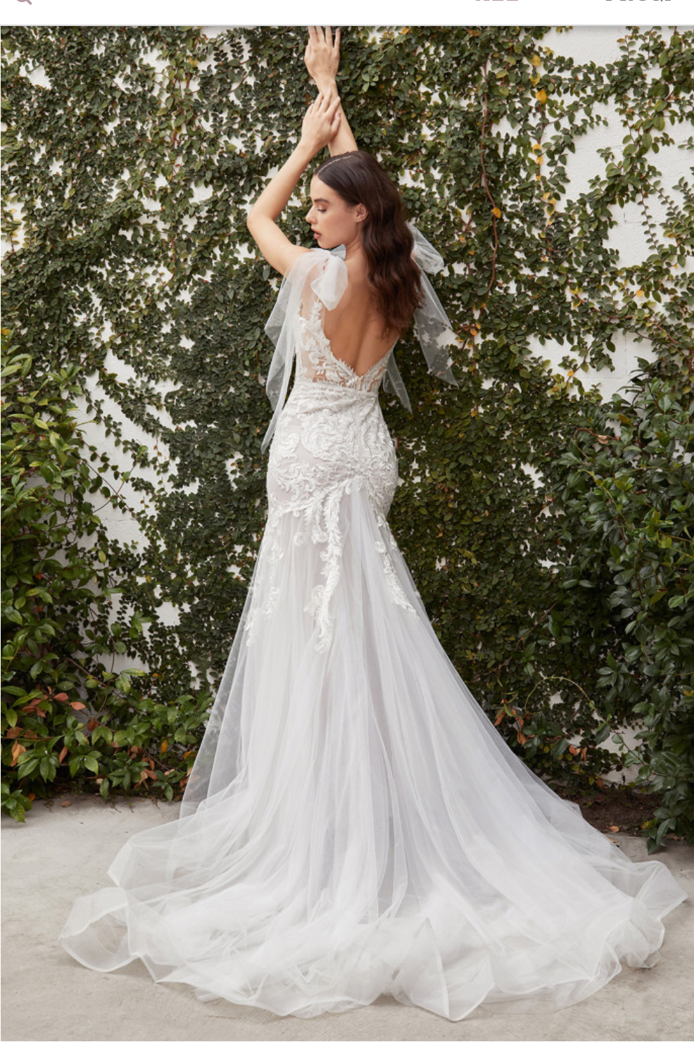 Whimsical Lace Mermaid Corset Gown