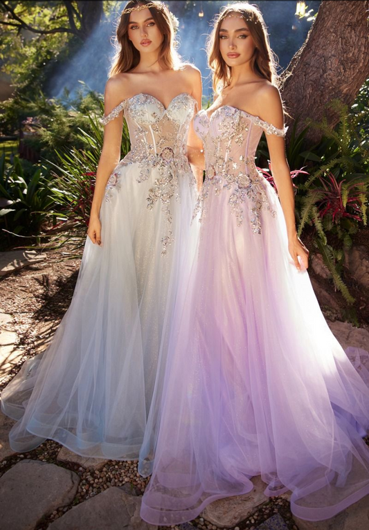 Embellished A-Line Tulle Ball Gown