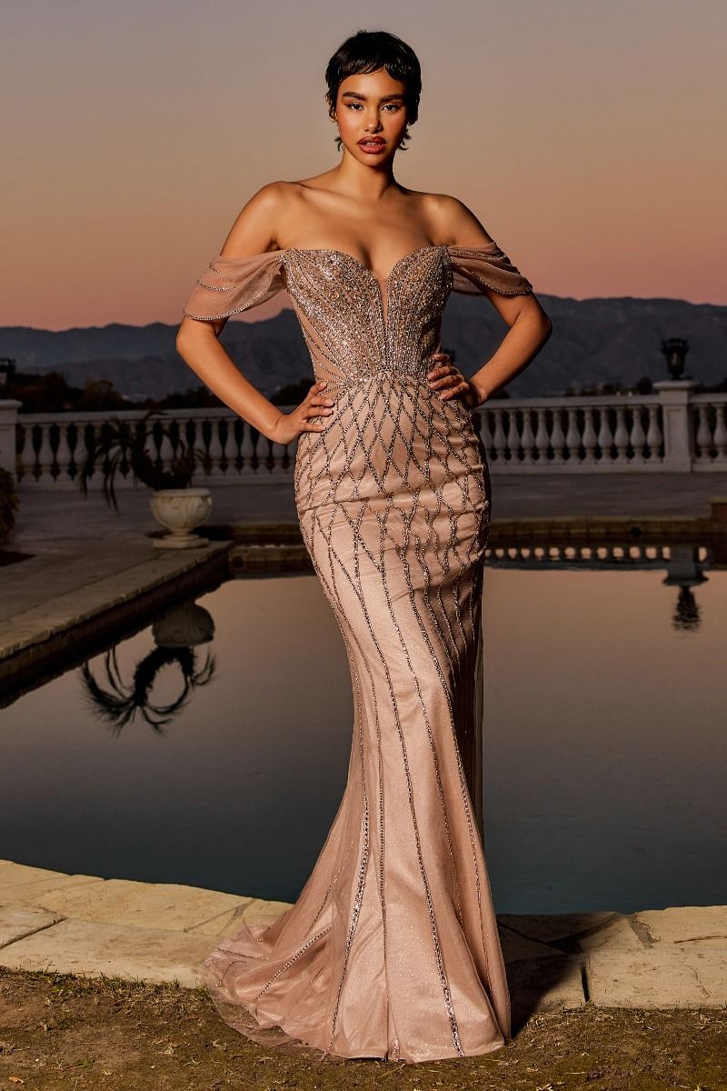 Off-The-Shoulder Neckline, Sheer Bodice & Linear Beaded Motif